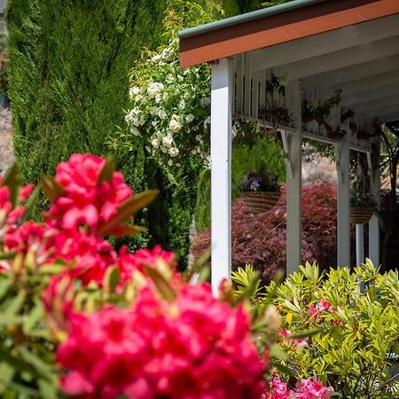 Settlers Cottage Motel Arrowtown Ngoại thất bức ảnh