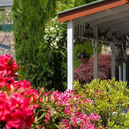 Settlers Cottage Motel Arrowtown Ngoại thất bức ảnh